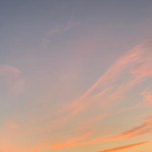 Meet your Posher, Brigite